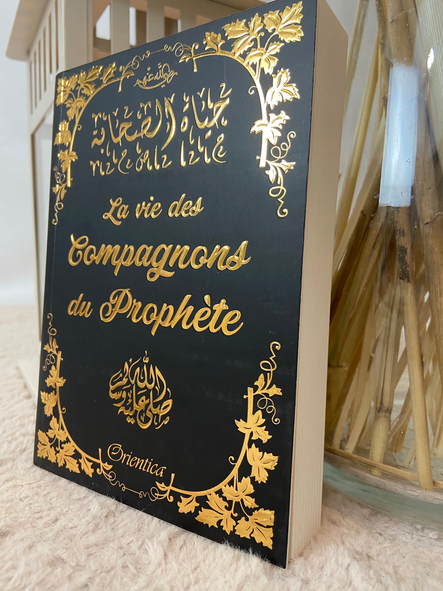 La Vie Des Compagnons du Prophète ﷺ